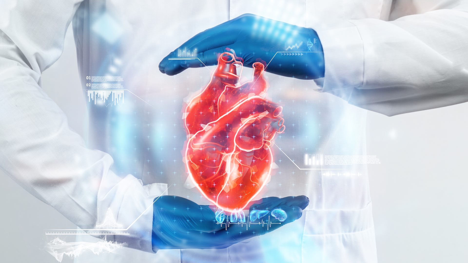 رؤى جديدة في العلاجات الطبيعية لصحة القلب