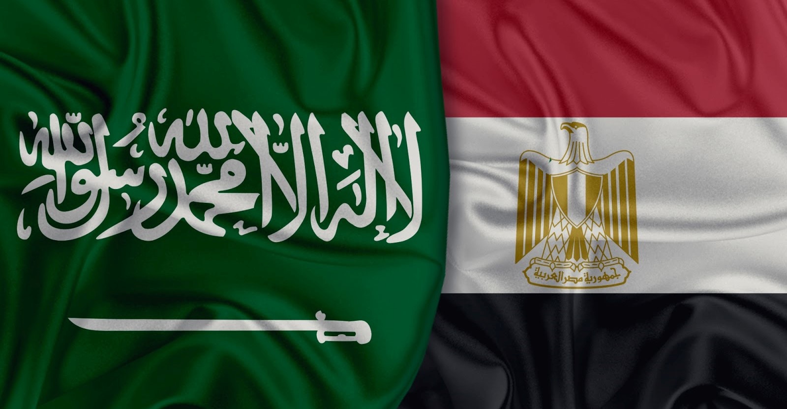 تعاون استراتيجي بين رواد الخدمات التعليمية في مصر والسعودية